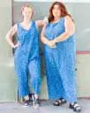 Daisy Denim Everyday Overall