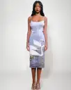 Swan Dress