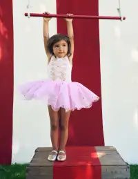 Magical Tutu-Vintage Mauve Foil Stars(2-3y)