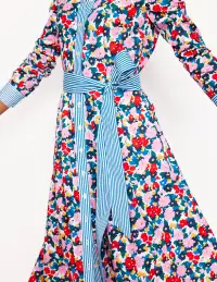 Amy Cotton Midi Shirt Dress-Multi. Painterly Meadow(Petite,2)