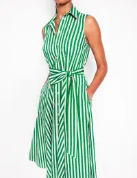 Amy Sleeveless Shirt Dress-Rich Emerald Stripe(Petite,2)