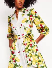Clara Linen Blend Shirt Dress-Ivory. Cherries and Lemons(Petite,2)