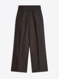 Pleated pants