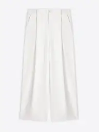 Pleated pants