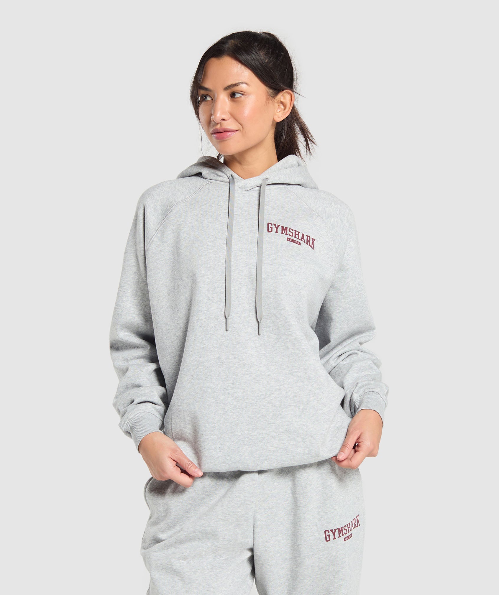 Collegiate Lifestyle Hoodie