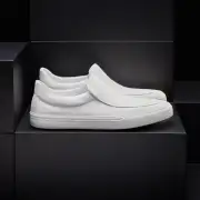 Men's Coastal Canvas Slip On - White(8,White,JP)