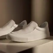 Women's Coastal Canvas Slip On - White(6,White,JP)