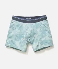Best Boxer Briefs Ever