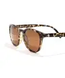 Sunski Yuba(One Size,Tortoise Amber)