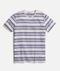 Signature Crew Stripe Tee