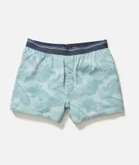 Best Boxers Ever