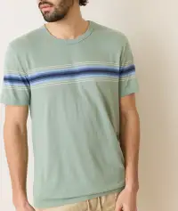 Signature Crew Stripe Tee(Small,Iceberg Green)