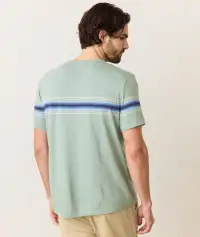 Signature Crew Stripe Tee(Small,Iceberg Green)