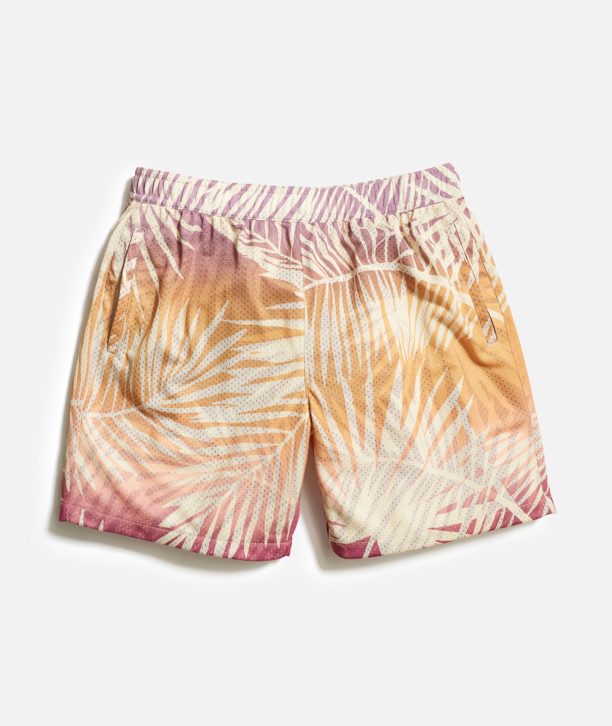 6 Mesh Short