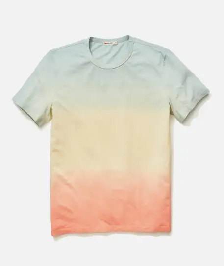 Signature Crew Tee(Small,Green/Warm Ombre)