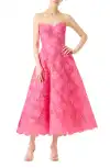 Pink Rose