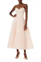 Embroidered Strapless Tea Length Dress(2,Powder)