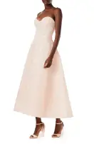 Embroidered Strapless Tea Length Dress(2,Powder)