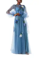 Long Sleeve Embroidered Tulle Gown(2,Sky Blue)