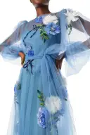 Long Sleeve Embroidered Tulle Gown(2,Sky Blue)
