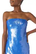 Strapless Sequin Column Dress(2,Sky Blue)
