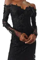 Off-The-Shoulder Lace Trumpet Gown(2,Noir)