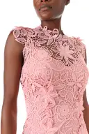 Sleeveless Lace Sheath(2,Pink)