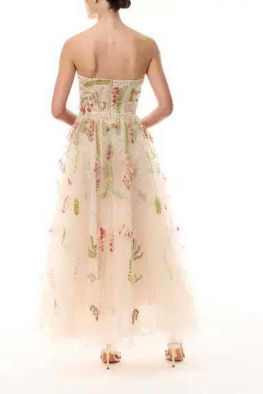 Embroidered Tulle Tea-Length Dress(2,Prosecco/Multi)