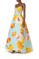 Poppy Printed Ball Gown(2,Powder Blue/Multi)