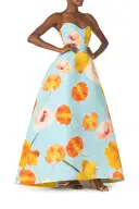 Poppy Printed Ball Gown(2,Powder Blue/Multi)