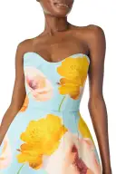 Poppy Printed Ball Gown(2,Powder Blue/Multi)