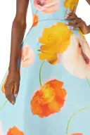Poppy Printed Ball Gown(2,Powder Blue/Multi)