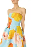 Poppy Floral Tea-Length Dress(2,Powder Blue/Multi)
