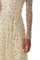 Crystal Embroidered Illusion Gown(2,Prosecco)
