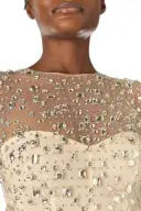 Crystal Embroidered Illusion Gown(2,Prosecco)