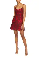 Sleeveless Lace Mini Dress(2,Crimson/Bordeaux)