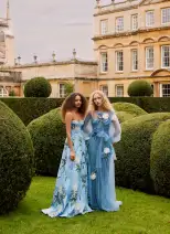 Long Sleeve Embroidered Tulle Gown(2,Sky Blue)