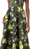 Noir Lemon Print Corseted Dress(2,Noir/Multi)