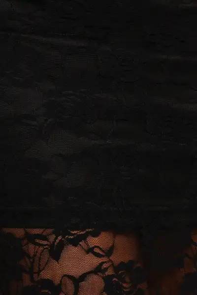 Laken Sheer Lace Maxi Skirt - Black(XS)