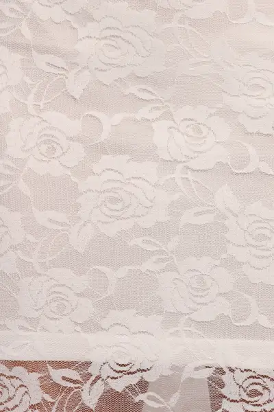 Laken Sheer Lace Maxi Skirt - White(XS)