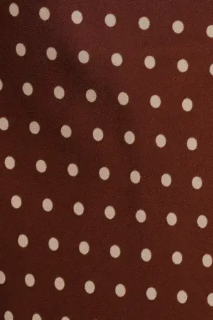 Velman Skirt - Brown Polka Dot(XS)