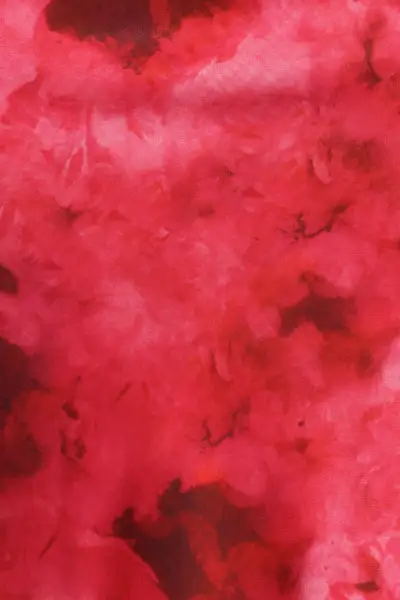 Velman Skirt - Red Print(XS)