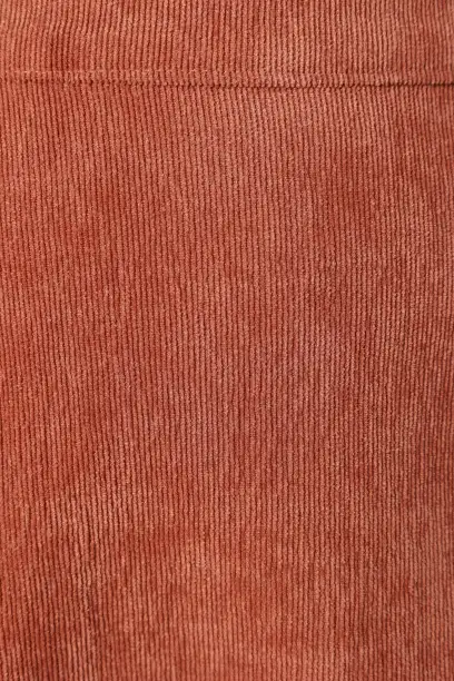 Tammy Cord Skirt - Brick(S)