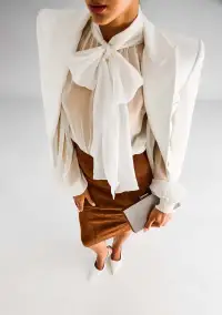 Hasli Silk Chiffon Top(White,XXS)
