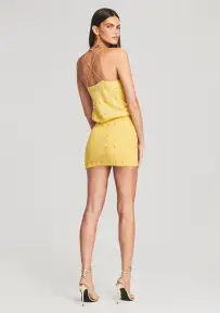 Petra Embellished Silk Chiffon Dress(Yellow,XXS)