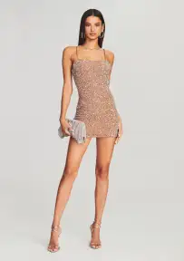 Dionne Sequin Dress