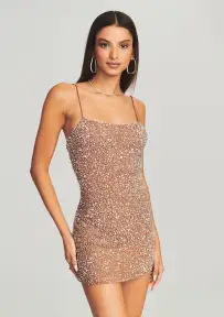 Dionne Sequin Dress(Silver/Nude,XXS)