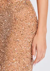 Clarisse Sequin Dress(Champagne,XXS)