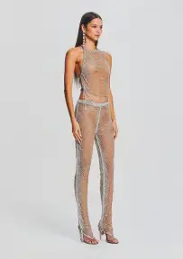 Delaney Embellished Top(Tannin/Silver,XXS)