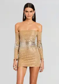 Briella Embellished Dress(Silver/Tannin,XXS)
